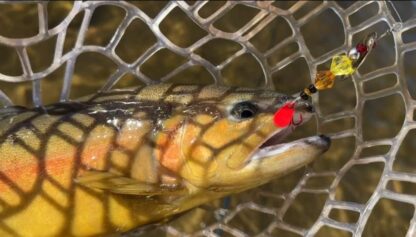 Brown Trout lure - Image 4
