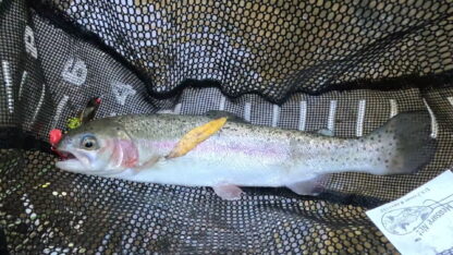 Brown Trout lure - Image 8