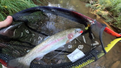 Brown Trout lure - Image 10